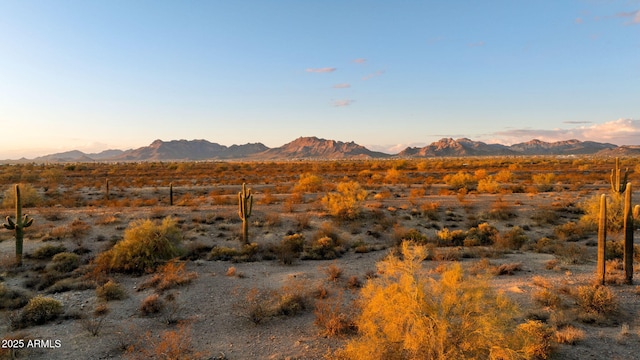 view of mountain feature