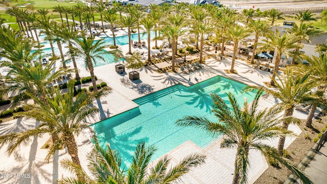 view of pool featuring a patio