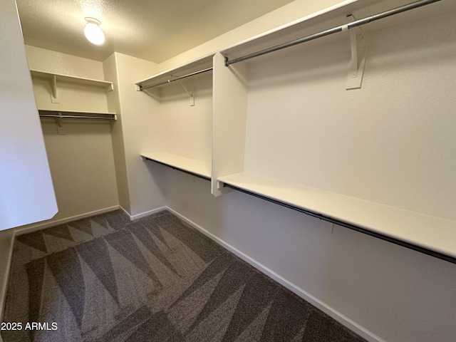 8514 S 49th Dr, Laveen, AZ 85339 - spacious closet featuring dark carpet