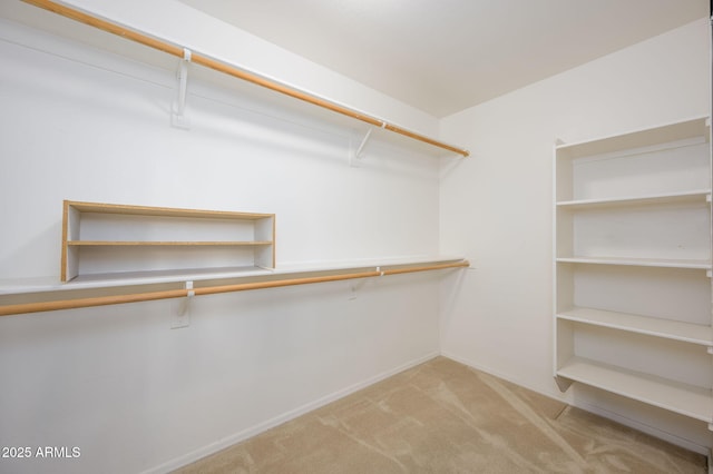 walk in closet featuring carpet flooring