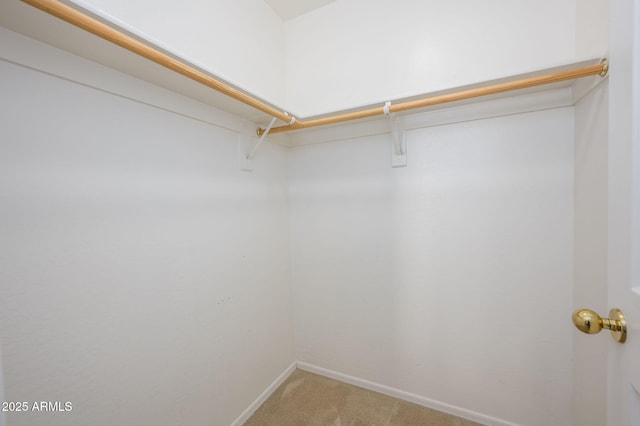 spacious closet featuring light colored carpet