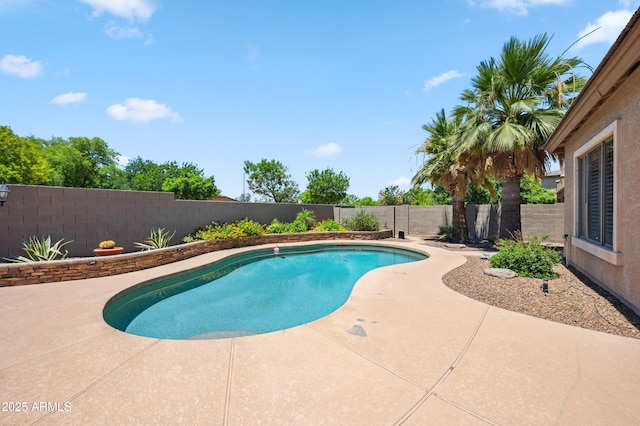 8417 W Northview Ave, Glendale, AZ 85305 - view of pool with a fenced backyard and a patio area