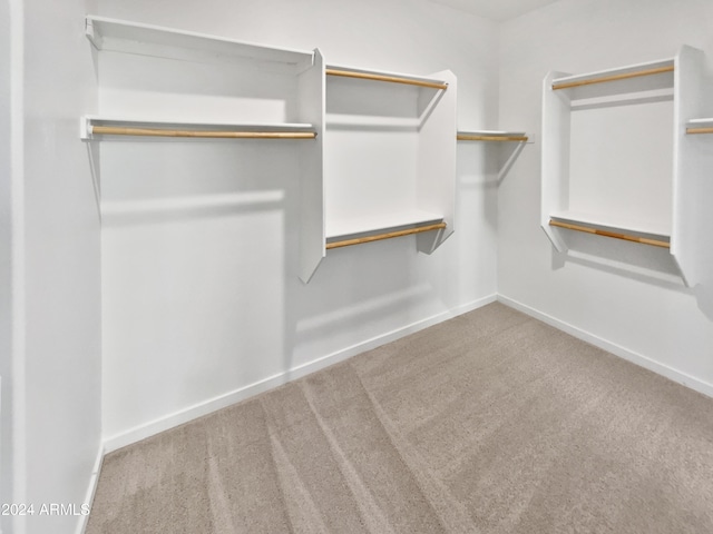 walk in closet with carpet