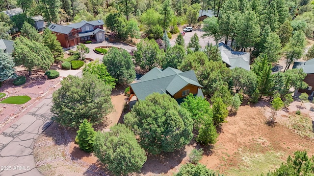 6168 W Hidden Pines Loop, Pine, AZ 85544 - aerial view of property and surrounding area