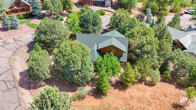 6168 W Hidden Pines Loop, Pine, AZ 85544 - aerial view of property and surrounding area