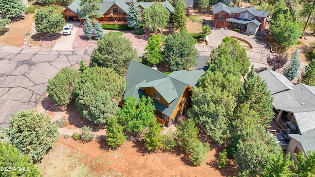 6168 W Hidden Pines Loop, Pine, AZ 85544 - aerial view of residential area