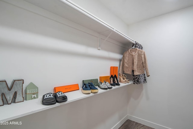 walk in closet featuring wood-type flooring