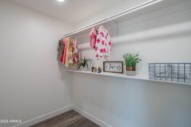 spacious closet with dark hardwood / wood-style flooring