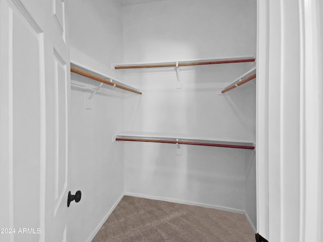 walk in closet featuring carpet flooring