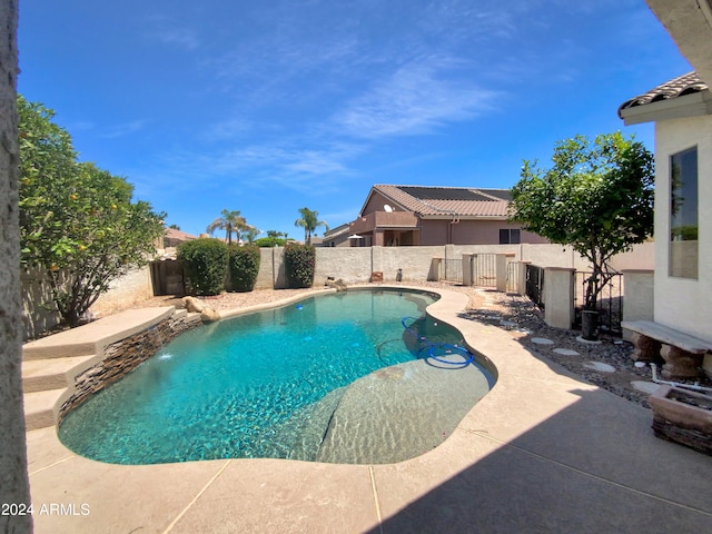 view of swimming pool with a patio area