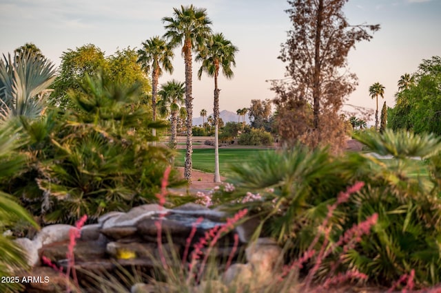 view of property's community
