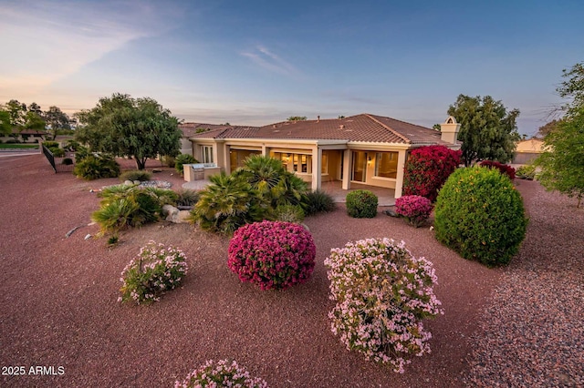 view of front of property featuring a tile roof, a patio area, and stucco siding