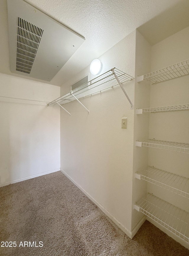 walk in closet with carpet flooring