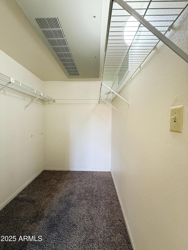 spacious closet featuring carpet flooring