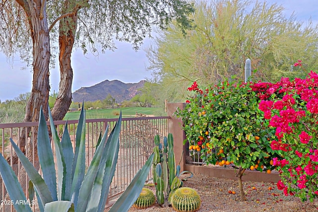 exterior space featuring a mountain view