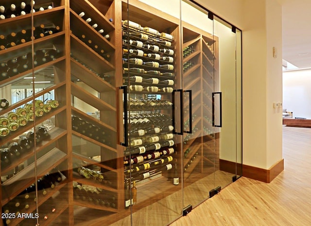 wine cellar featuring baseboards and wood finished floors