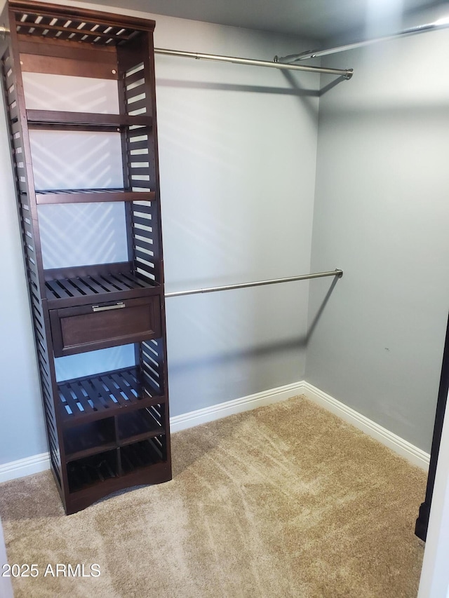 spacious closet with carpet