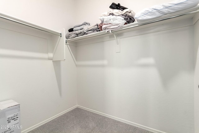 spacious closet with carpet