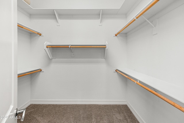 spacious closet featuring carpet flooring