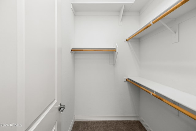 walk in closet with dark colored carpet