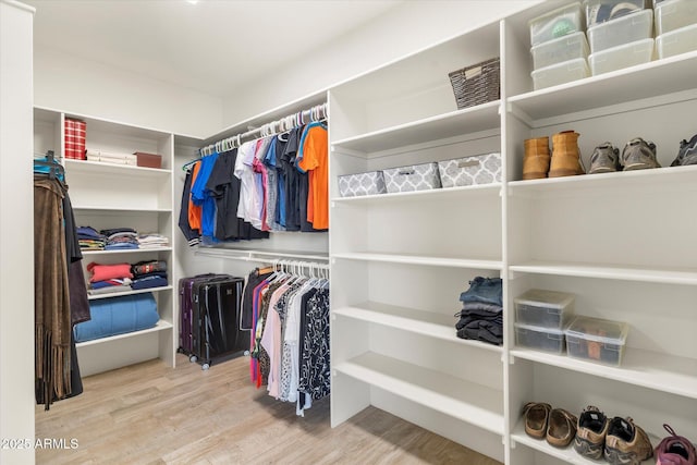 spacious closet with wood-type flooring