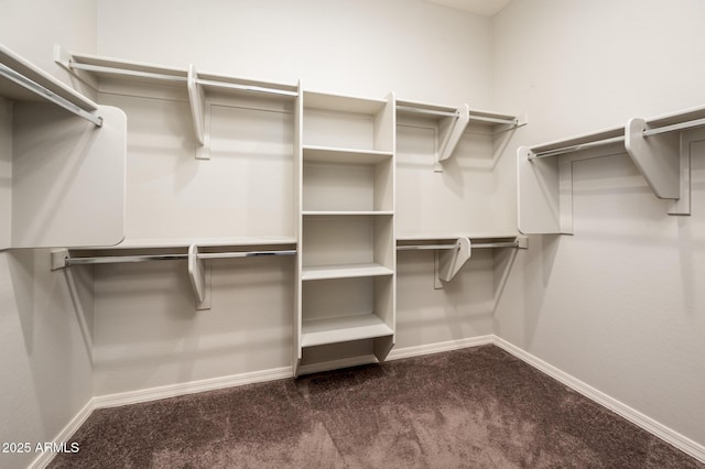 2611 S Quaintance St, Gilbert, AZ 85295 - spacious closet with carpet flooring