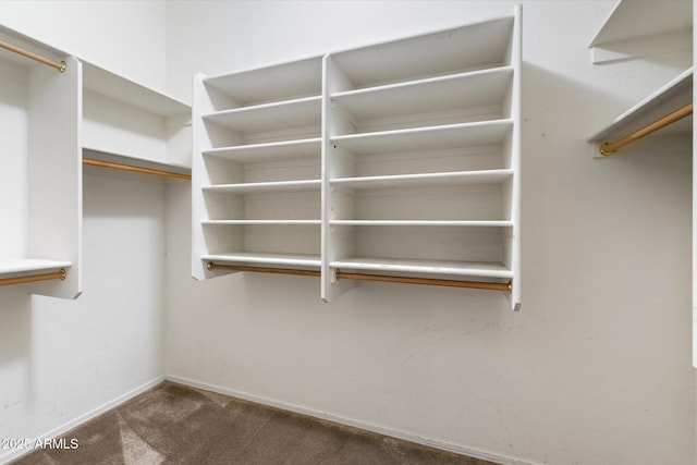 walk in closet featuring carpet floors