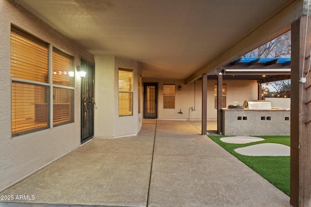 view of patio / terrace with exterior kitchen