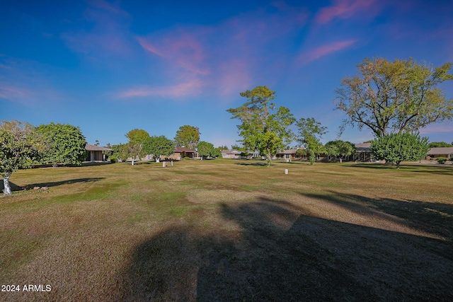 view of yard at dusk