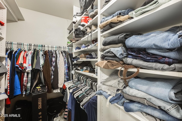 view of spacious closet