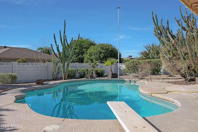 view of swimming pool with a diving board