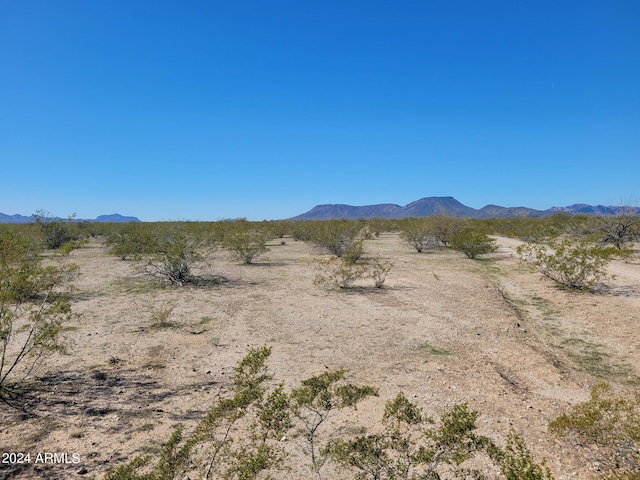 527XX W Carver Rd Unit C & D, Tonopah AZ, 85354 land for sale