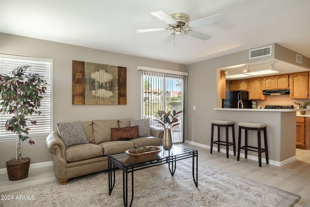 living room featuring ceiling fan and light wood-type flooring