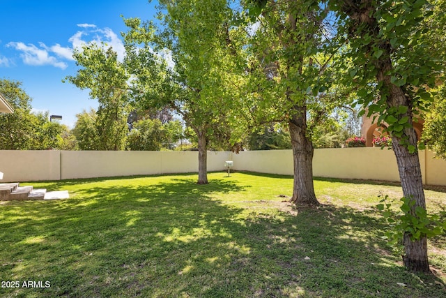 7252 N Central Ave, Phoenix, AZ 85020 - view of yard