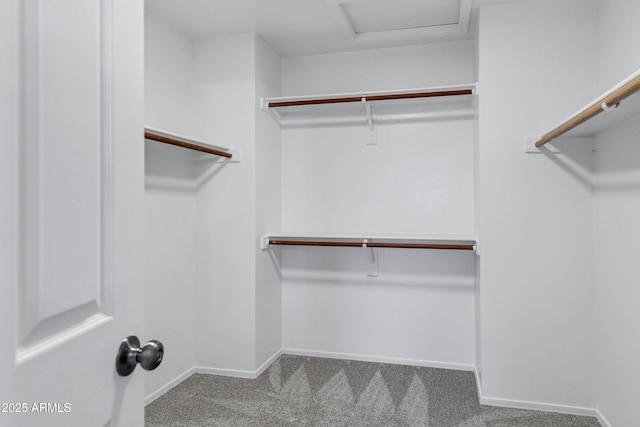 spacious closet with carpet and attic access