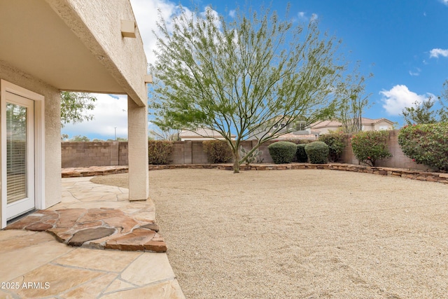 view of yard with a patio and a fenced backyard