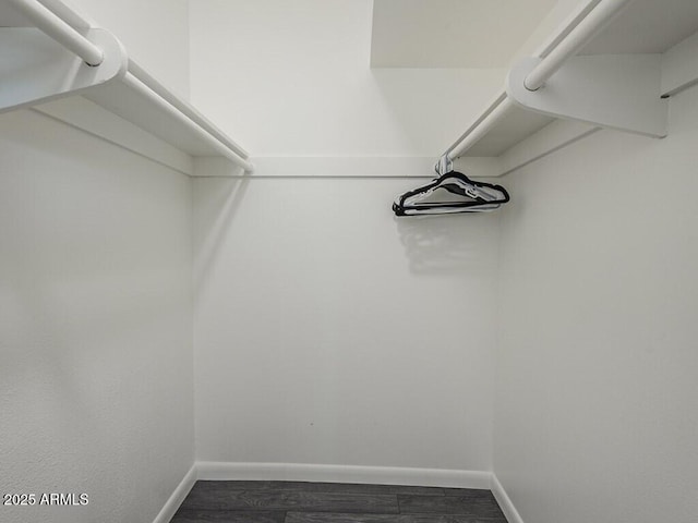 walk in closet with dark wood-style flooring