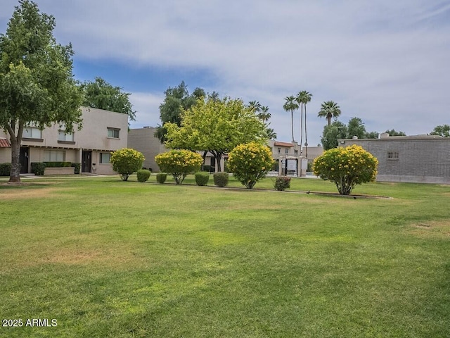 view of grassy yard