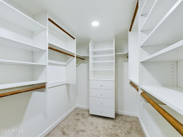 spacious closet featuring light colored carpet