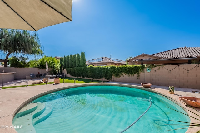 1128 E Phelps St, Gilbert, AZ 85295 - view of swimming pool with a patio area and a fenced backyard