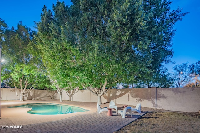 view of swimming pool featuring a fenced backyard, a fenced in pool, and a patio