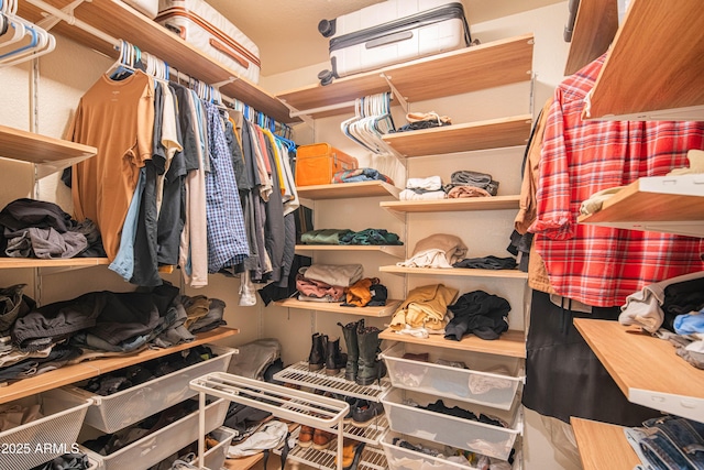 view of spacious closet