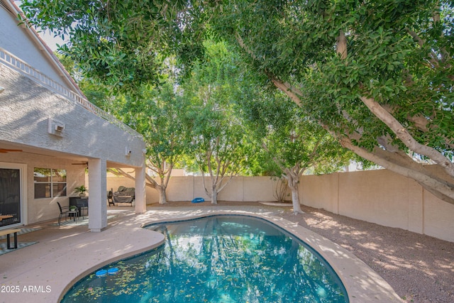 view of swimming pool with a patio, a fenced backyard, and a fenced in pool