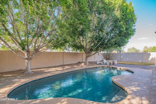 view of swimming pool featuring a fenced in pool and a fenced backyard