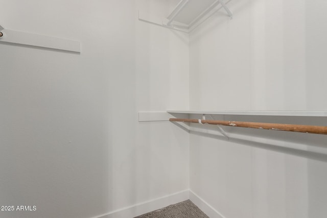 view of walk in closet