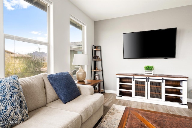 living room featuring hardwood / wood-style flooring