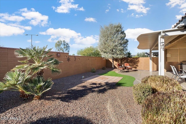 view of yard featuring a patio