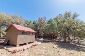 3458 N Meadow Dr, Pine, AZ 85544 - view of shed