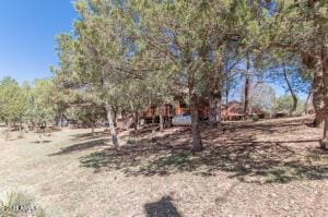 3458 N Meadow Dr, Pine, AZ 85544 - view of yard