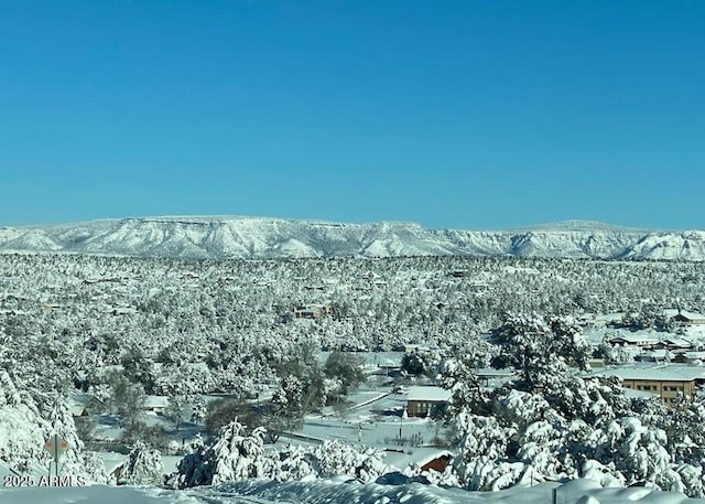 3458 N Meadow Dr, Pine, AZ 85544 - view of mountain backdrop